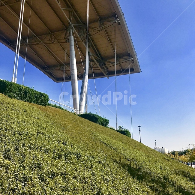 slope,경사,outdoors,옥외,nature,자연,공원