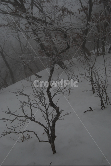 겨울,산,공원,나무,탐방로,겨울,계절,winter,season,자연,풍경,nature,landscape,storm,폭풍,blizzard,눈보라,outdoors,옥외,snow,눈