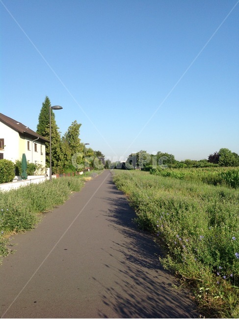 영국,런던,london,시골,평온,평화,시골길,산책,유럽,europe,들꽃,하늘,여름,한낮,산책로,relax,relaxation,break,rest,자연,풍경,nature,landscape