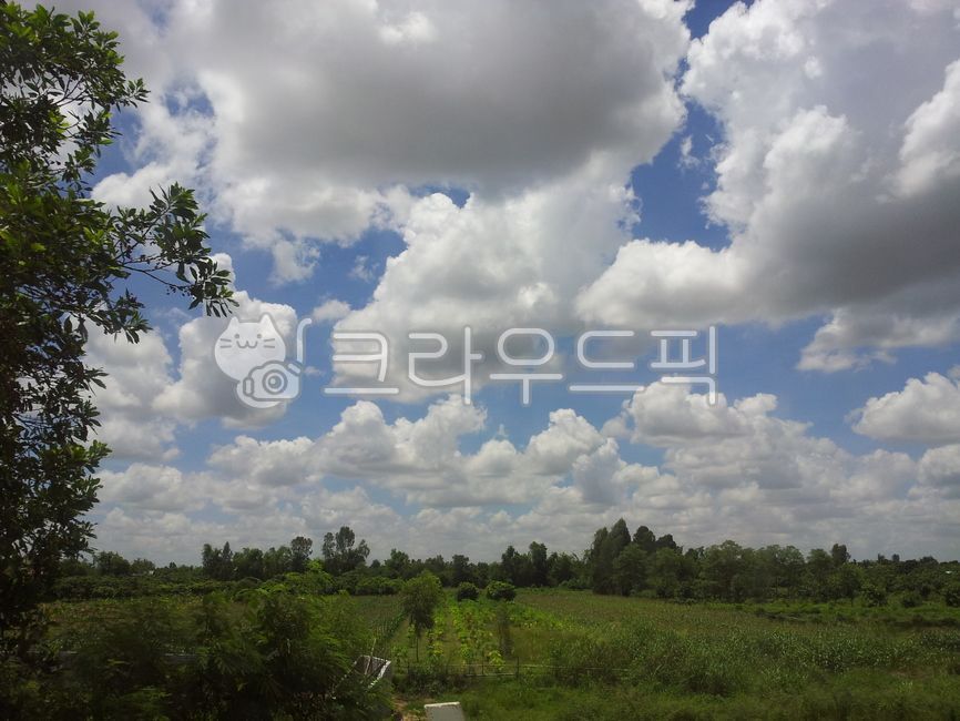 캄보디아,하늘,구름,자연,시골풍경,풍경,배경,시원함,나무