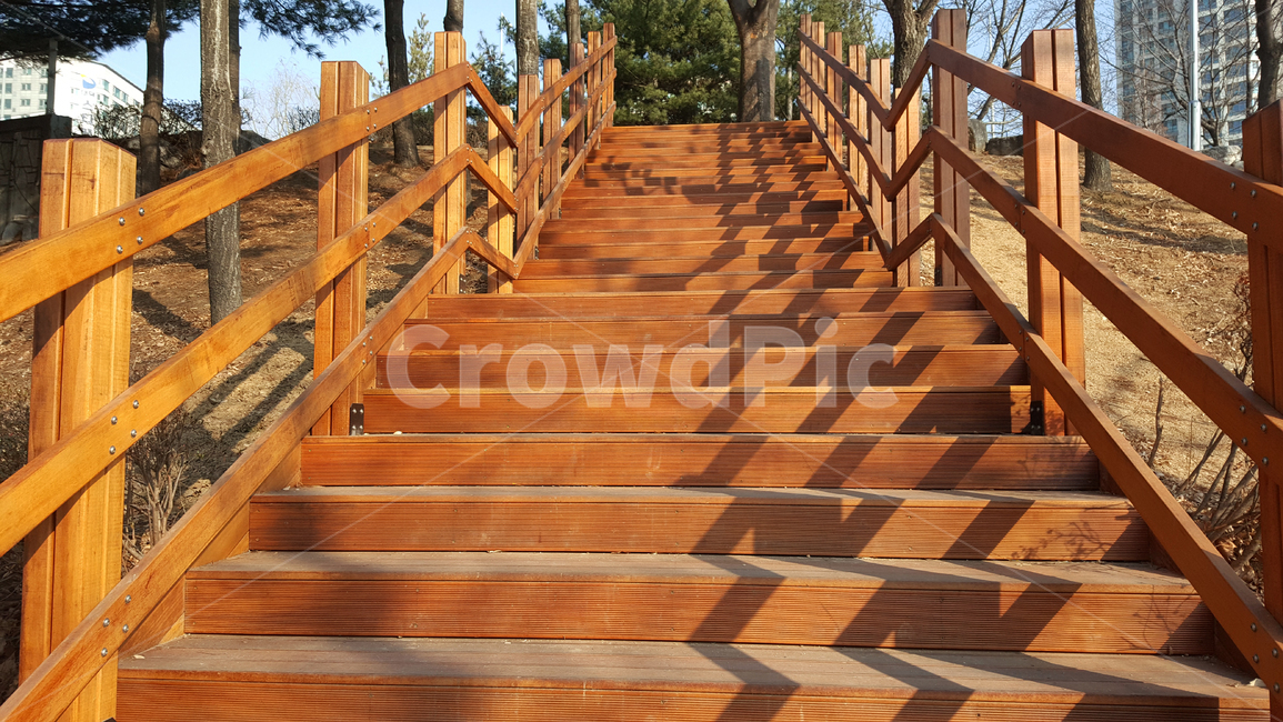 계단,나무,식물,오르다,겨울,쓸쓸함,사계절,한국,그림자,낮,산책,운동,공원,stairs,tree,plants,rise,winter,desolate,fourseasons,korea,shadow,day,walking,exercise,park