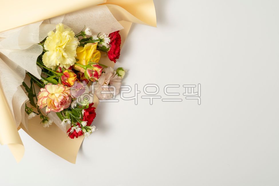 카네이션,어버이날,꽃,꽃다발,flower,flowerarrangement,flowerbouquet,rose,장미,carnation