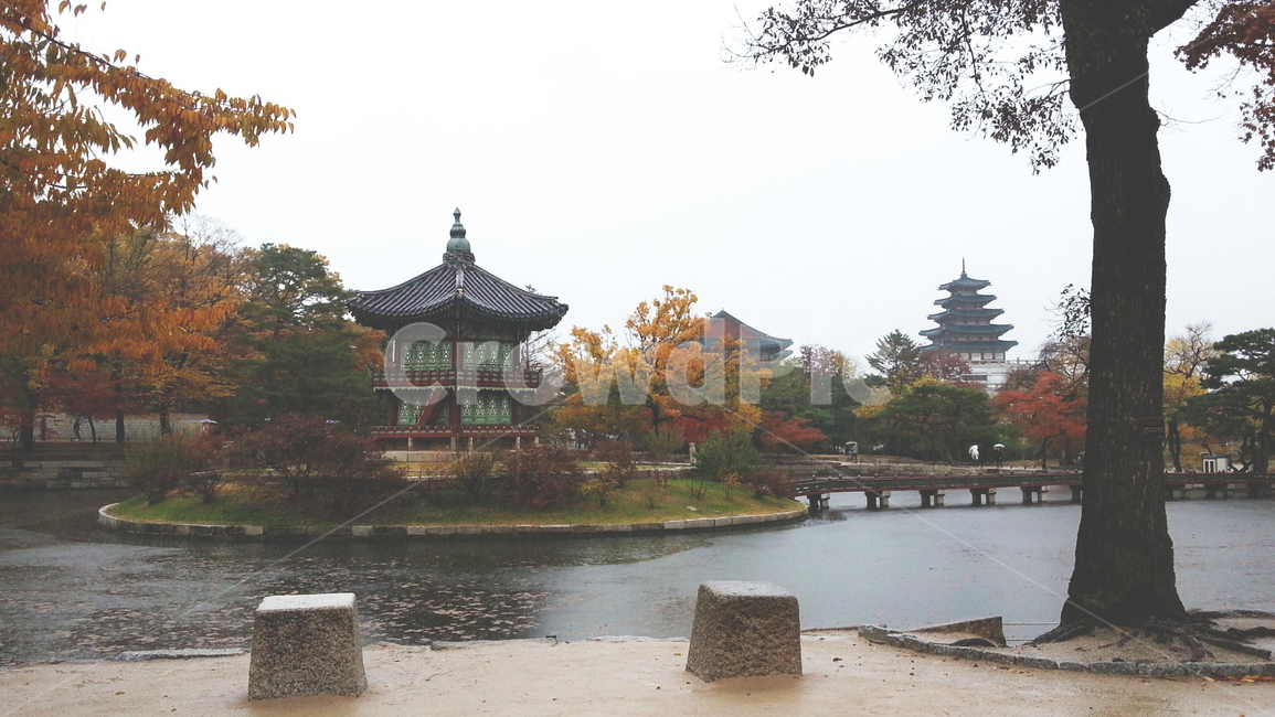 경복궁,비오는날,향원정,전통,궁,비,분위기,단풍,가을,계절,fall,autumn,season,랜드마크,landmark,tourist attraction,한국랜드마크,한국관광지,한국명소,korea landmark,korea tourist attraction,building,건물,architecture,건축물,worship,예배,shrine,신사,pagoda,탑,temple,신전
