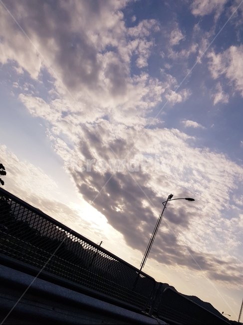 하늘,도로,구름,햇빛,sky,길
