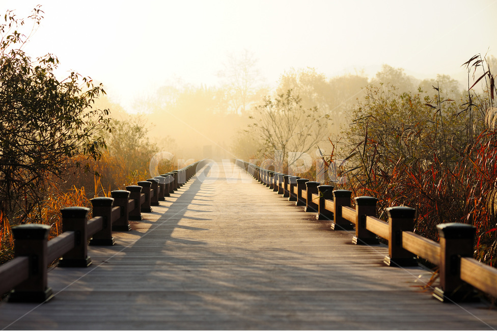 화포천,김해,습지,길,여명,자연,풍경,nature,landscape,handrail,난간,banister