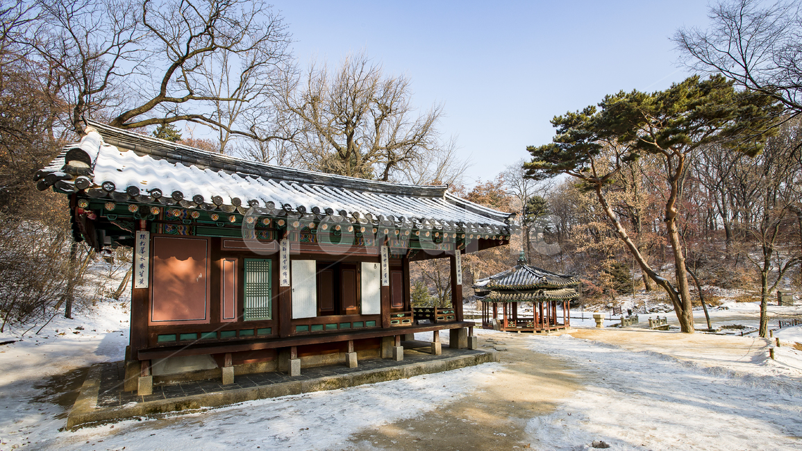 고궁,역사,서울,창덕궁,비원,조선,겨울,계절,winter,season,한국전통,한국문화,korean traditional,korean culture,랜드마크,landmark,tourist attraction,한국랜드마크,한국관광지,한국명소,korea landmark,korea tourist attraction,건축물,건물외관,exterior,building,structure,architecture,construction