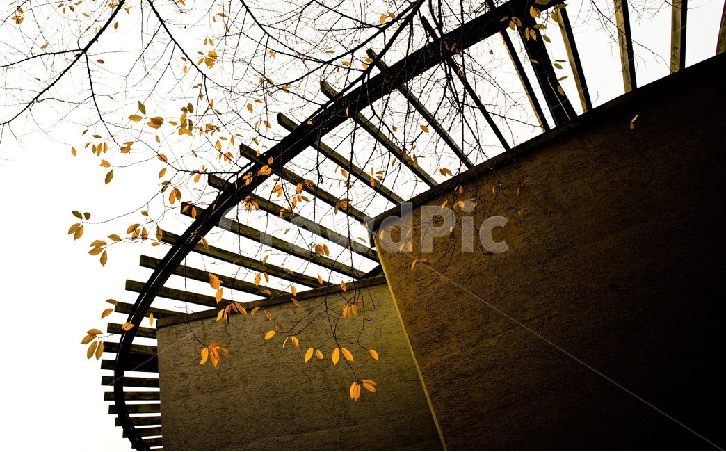 가을,단풍,낙엽,건물,나무,구조물,풍경,가을,계절,fall,autumn,season,건축물,건물외관,exterior,building,structure,architecture,construction,window,창문,skylight,스카이 라이트