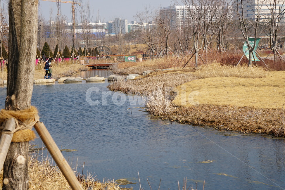 공원,시냇물,가을,겨울,평화,도시,풍경,city,landscape,한국도시풍경,한국도시경관,korea cityscape,water,물,outdoors,옥외