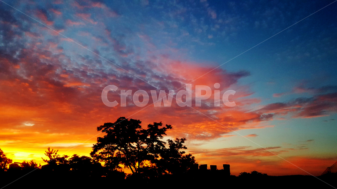 배경,구름,오렌지빛,하늘,나무,background,dawn,cloud,orange,sky,tree,감성적인,emotional,sunset