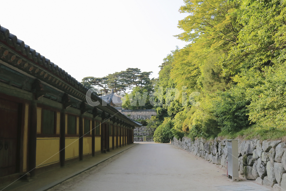 경주,불국사,불교,세계문화유산,한국문화,한국전통,관광지,한국전통,한국문화,korean traditional,korean culture