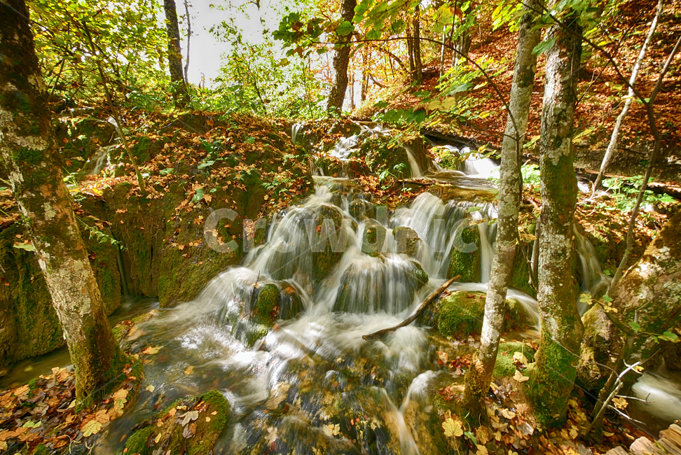 유럽,크로아티아,플리트비체국립공원,자연,풍경,관광지,가을,낙엽,물,water,outdoors,흐름,해외자연풍경,옥외,nature,폭포,waterfall