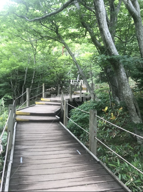 제주한라산,한라산,영실탐방로,백록담,윗세오름