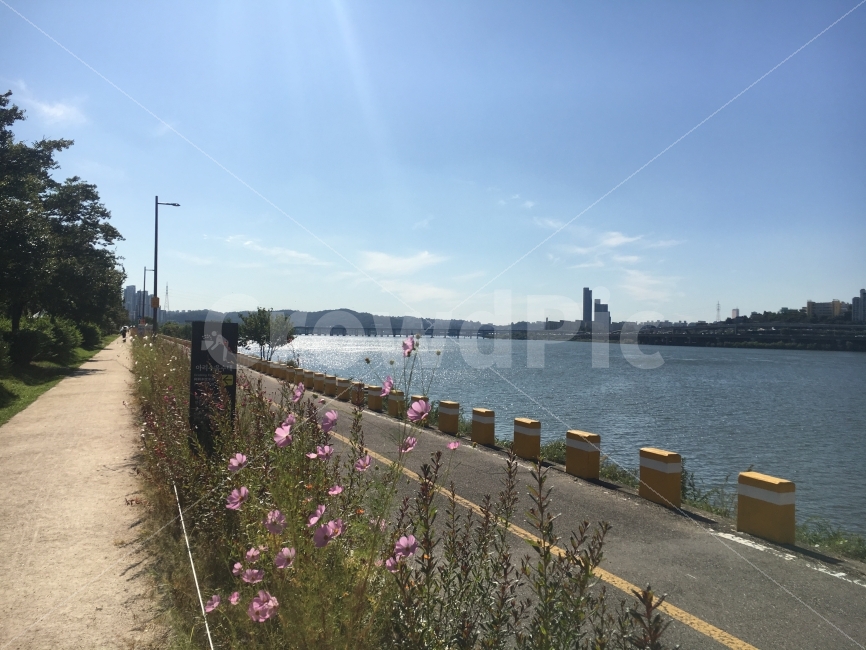 한강,hanriver,가을하늘,하늘,sky,꽃,여유,아름다움,힐링,풍경사진,도시,풍경,city,landscape,한국도시풍경,한국도시경관,korea cityscape
