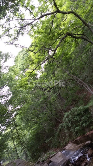 자연,행복,녹색,푸른,하늘,여유,사랑