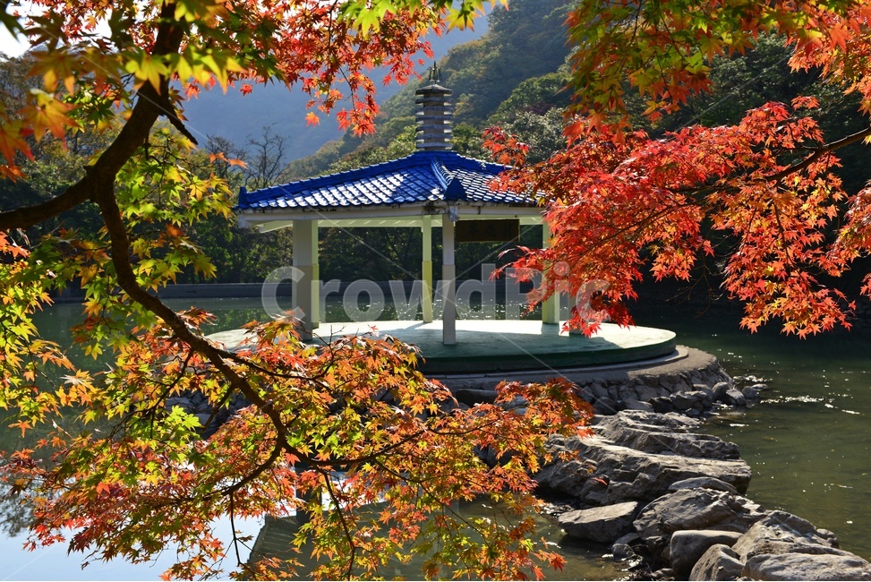 정읍,내장사,우화정,우화정가을,가을,계절,추색,추경,경,경관,풍경,자연,plant,식물,leaf,잎,maple,단풍,나무,gazebo,전망대,가을,계절,fall,autumn,season,자연,풍경,nature,landscape,한국자연풍경,한국자연경관,korea nature landscape
