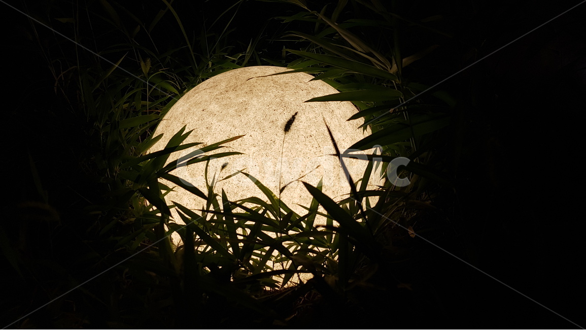 달,조명,moon,인테리어,밤,night,midnight,fullmoon,인테리어,실내디자인,interior design,사물,물건,오브젝트,thing,object,matter