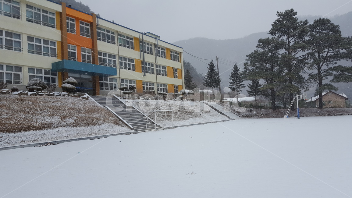 눈,설경,학교,운동장,자연,시골,겨울,winter,snow