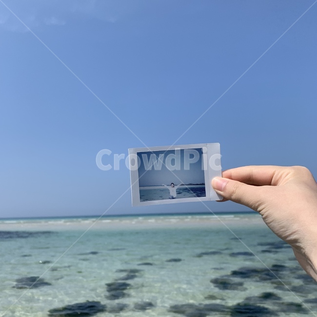 해변,폴라로이드,바다,푸름,해초