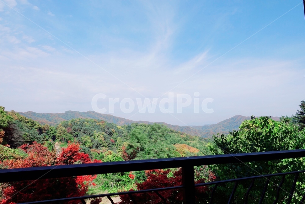 가을,단풍,자연,산,나무,가을,계절,fall,autumn,season,railing,난간