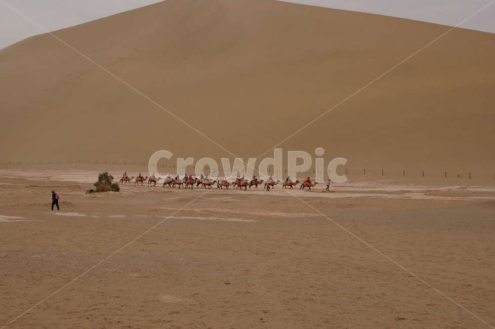 중국,사막,모래,desert,china,자연,낙타,아시아,자연,풍경,nature,landscape,해외,외국,세계,foreign,oversea,world,세계자연풍경,해외자연풍경,외국자연풍경,world nature landscape,여행,휴가,traveling,vacation,trip,soil,흙,sand,outdoors,옥외,dune,모래 언덕