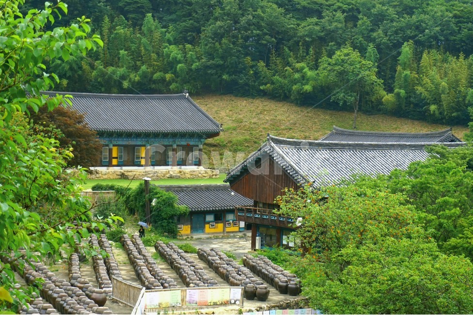 통도사,사찰,절,기와,장독,나무,green,temple,tile,nature,한국전통,한국문화,korean traditional,korean culture,종교,신앙,religion,belief,faith