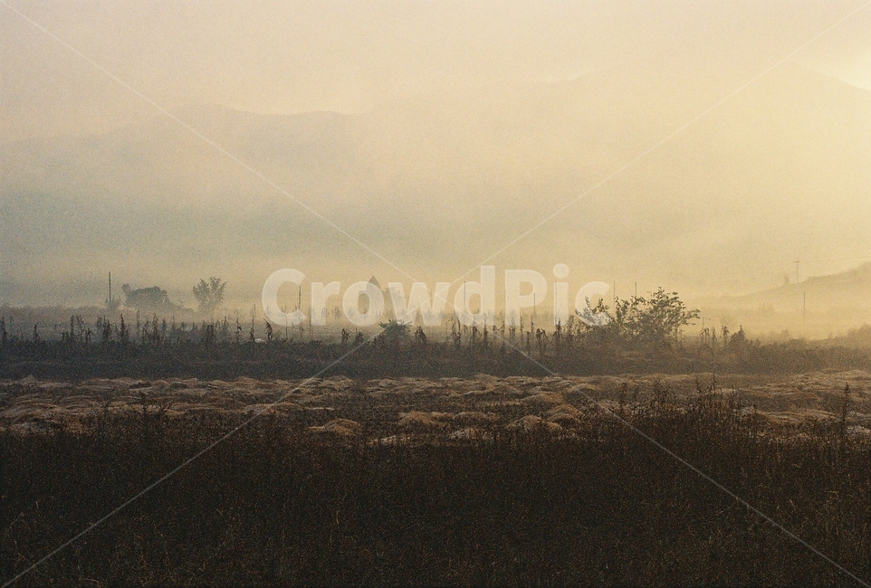 가을,아침,추수,볏집,수확,안개,풍경,fall,morning,fog,landscape,가을,계절,fall,autumn,season,자연,풍경,nature,landscape,weather,날씨,outdoors,옥외