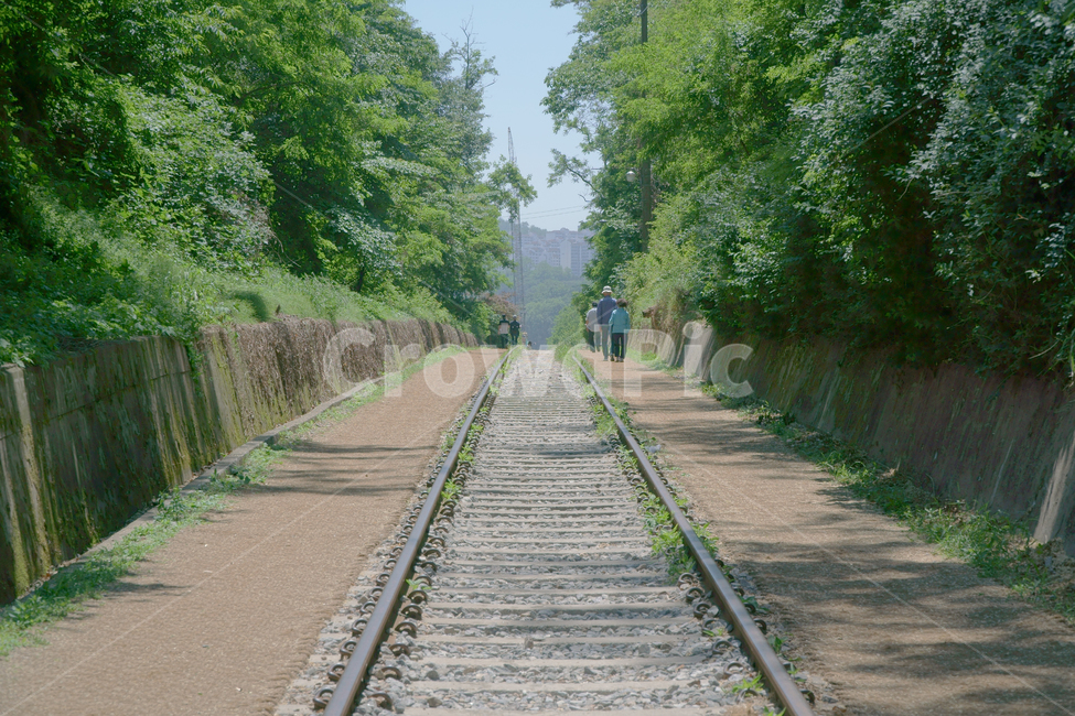 철길,항동,나무,여름,철도,대칭,초록,서울