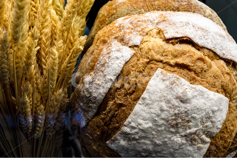 bread,빵,food,음식,제과,밀,슈가파우더,간식,브레드,베이킹,빵,bread
