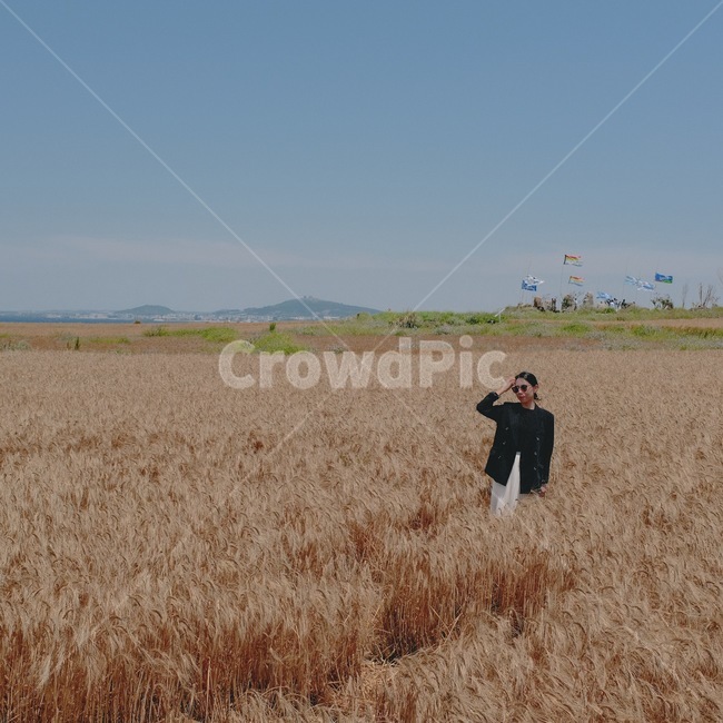 제주도,가파도,청보리,5월,바람