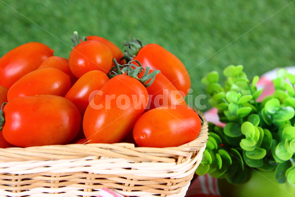 토마토,대추방울토마토,과일,야채,식품,신선,음식,빨간,tomato,jujubetomatoes,fruits,vegetables,fresh,food,red,음식,식재료,요리,food,cook,meal,dishes,food reserves,과일,열매,fruit,채소,야채,vegetables