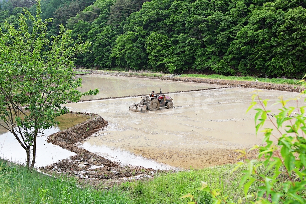 논갈이,농사,트렉터,논,풍경,배경,자연,산업,industry,industrial,농업,농사,agriculture,farming,farming industry