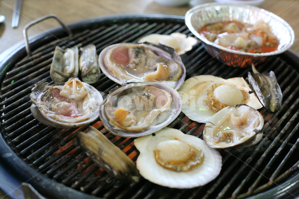 가리비,조개,해산물,수산물,해물,조개구이,구이,철판,음식,요리,식재료,cook,food,products,seafood