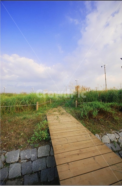 하늘,다리,공원,풍경,일상풍경,자연,풍경,nature,landscape,boardwalk,산책로,bridge,building,건물,path,통로