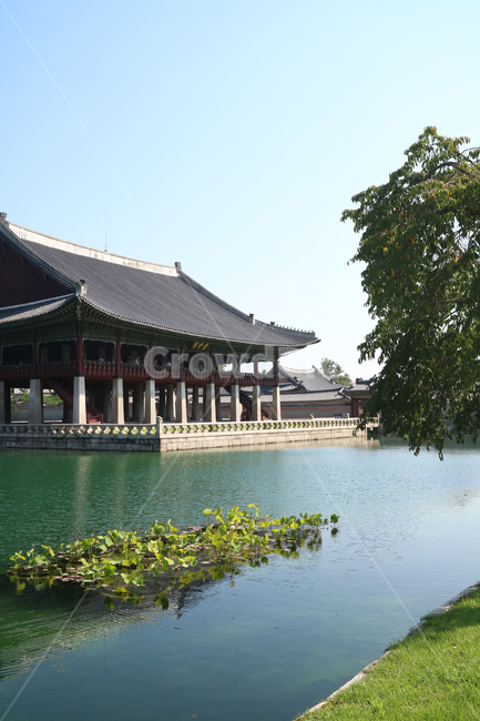 경회루,고궁,한국전통,궁전,한국,건축,건물,동양건축,한옥,전통가옥,정자,누각,연못,문화재,전통,민속,대한민국,한국전통,한국문화,korean traditional,korean culture,랜드마크,landmark,tourist attraction,한국랜드마크,한국관광지,한국명소,korea landmark,korea tourist attraction,건축물,건물외관,exterior,building,structure,architecture,construction