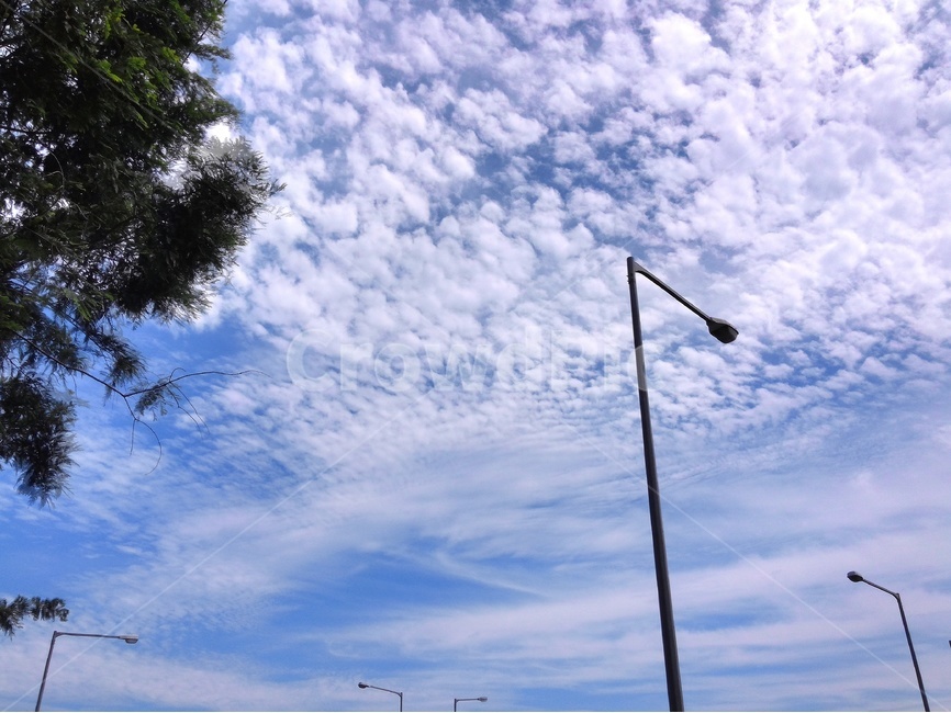 가로등,하늘,구름,여름,시원함,파랑,cloud,풍경,자연,풍경,nature,landscape