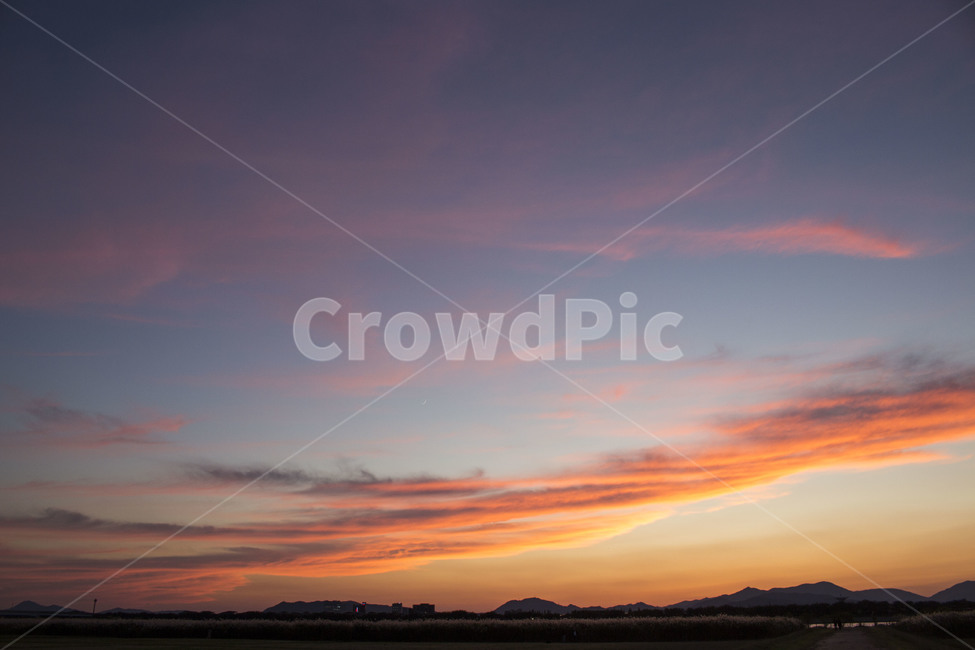 억새,억새밭,가을,갈대,자연,풍경,식물,하늘,노을,일몰,자연,풍경,nature,landscape,outdoors,옥외