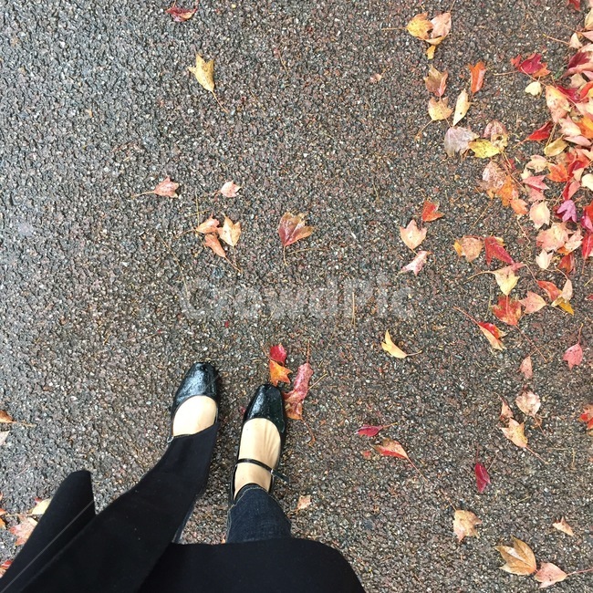 가을,낙엽,발,단풍,쓸쓸,외로움