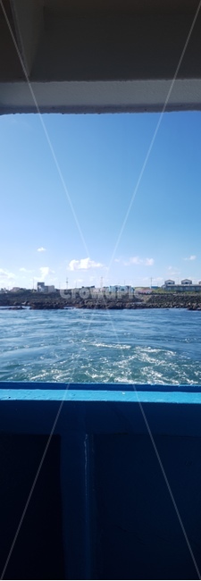 제주도,풍경,자연,섬,바다
