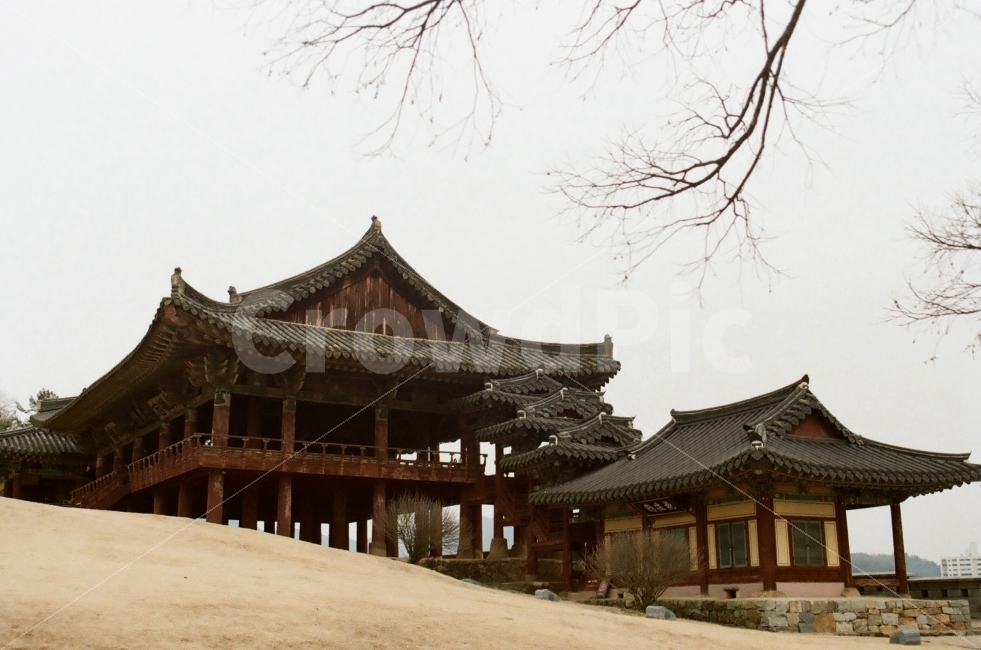 영남루,밀양영남루,밀양,문화재,필름사진,랜드마크,landmark,tourist attraction,한국전통,한국문화,korean traditional,korean culture