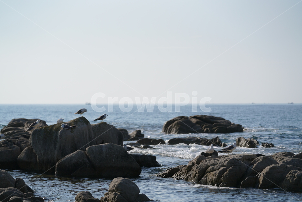 바다,바닷가,풍경,경치,sea,자연,하늘,색감,파랑