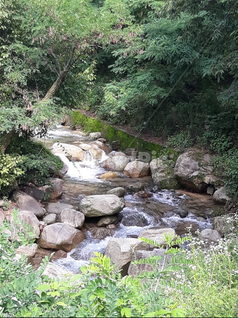 북한산계곡,냇가,야외,청정우,여름,자연,풍경,nature,landscape,water,물,outdoors,옥외,stream,흐름,creek,작은 만