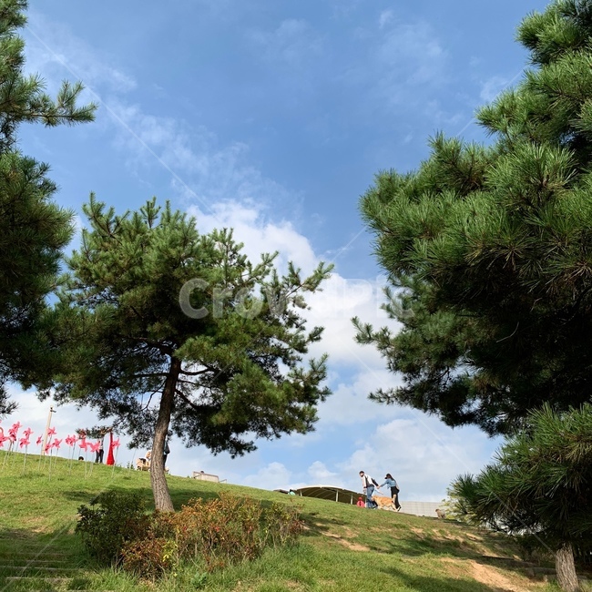 하늘,공원,구름,산책,힐링,파크,여유,언덕,식물,tree,나무,human,plant