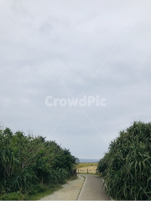 오키나와만좌모,만좌모,만좌모입구,오키나와명소,만자모,자연,풍경,nature,landscape,outdoors,옥외