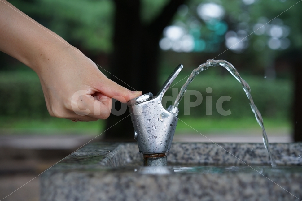 물,물줄기,수돗가,수돗물,야외수돗가,생수,사람,인물,인간,human,person,음료수,drink,beverage
