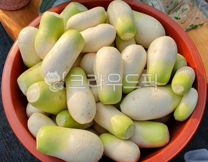 무우,무,김장채소,김장재료,녹색채소,그린,초록,야채,채소,food,음식,radish,vegetable,빨간통