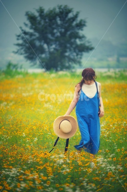 소녀,모델,꽃밭,모자,노랑,분위기,사람,인물,인간,human,person,여성,여자,woman,female,lady