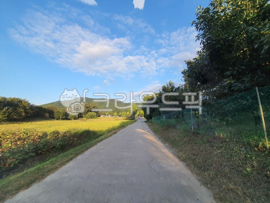 도로,자연,드라이브,직진,직선도로,시골길,시골,구름,가을하늘