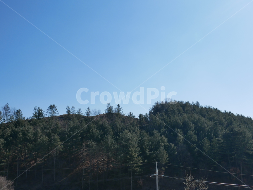 산,동산,숲,하늘,나무