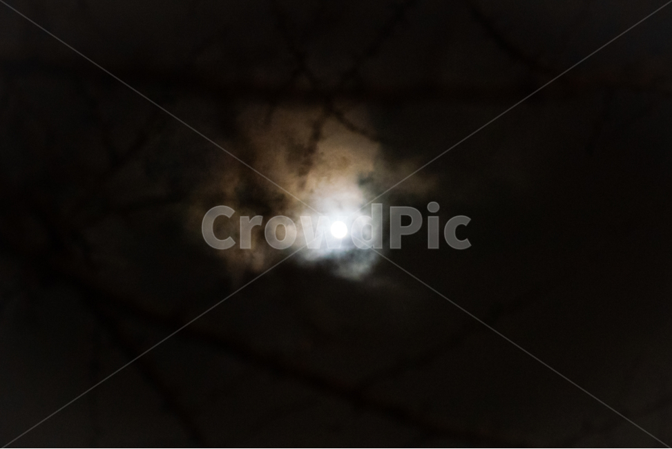 background,black,desolate,branch,calm,cloud,darkness,fear,fullmoon,depression,light,moon,mysterious,night,pitchblack,coarsetexture,silence,sky,twinkling,creepy,suspicious,terriblenightsky,sparse,treesdisappearing,nature,outdoordark,배경,검정색,황량함,나뭇가지,고요함,구름,흐림,어둠,두려움,보름달,우울함,빛,달,달빛,신비함,밤,칠흑같이어두운,거친질감,침묵,하늘,반짝임,섬뜩함,의심,끔찍한밤하늘,희박함,나무,사라짐,자연,옥외,어두운