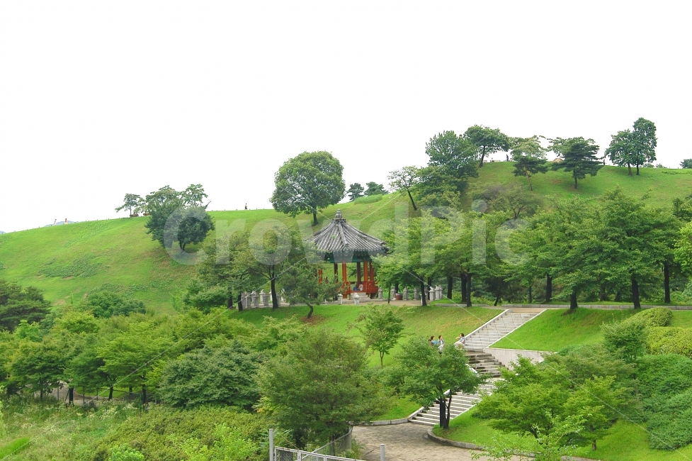 공원,올림픽공원,나무,언덕,동산,휴식,정자,서울,풍경,숲,자연,풍경,nature,landscape,한국자연풍경,한국자연경관,korea nature landscape,outdoors,옥외